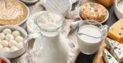 Dairy Products
