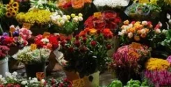Flower Stores